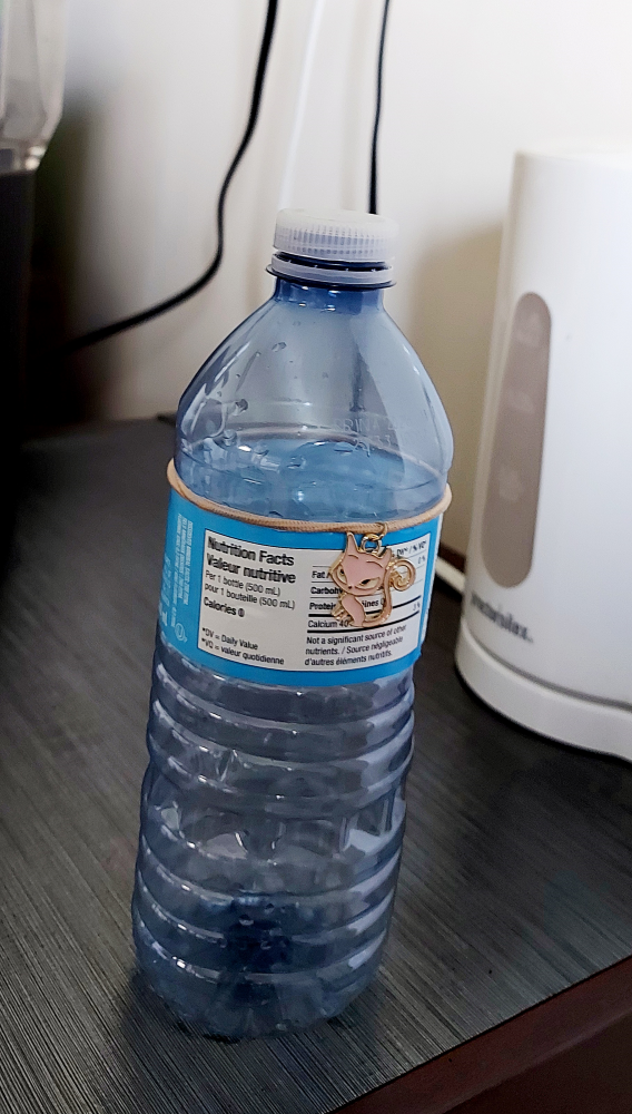 Example of cat bottle charm