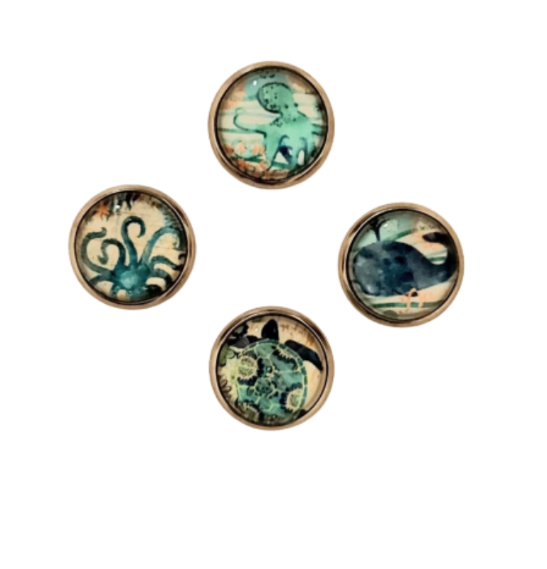 Close up - sea creatures