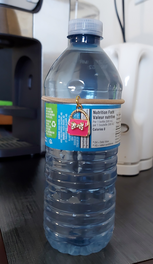 Bottle Charms (Set of 6) - Beige Bands & Purse Pendants